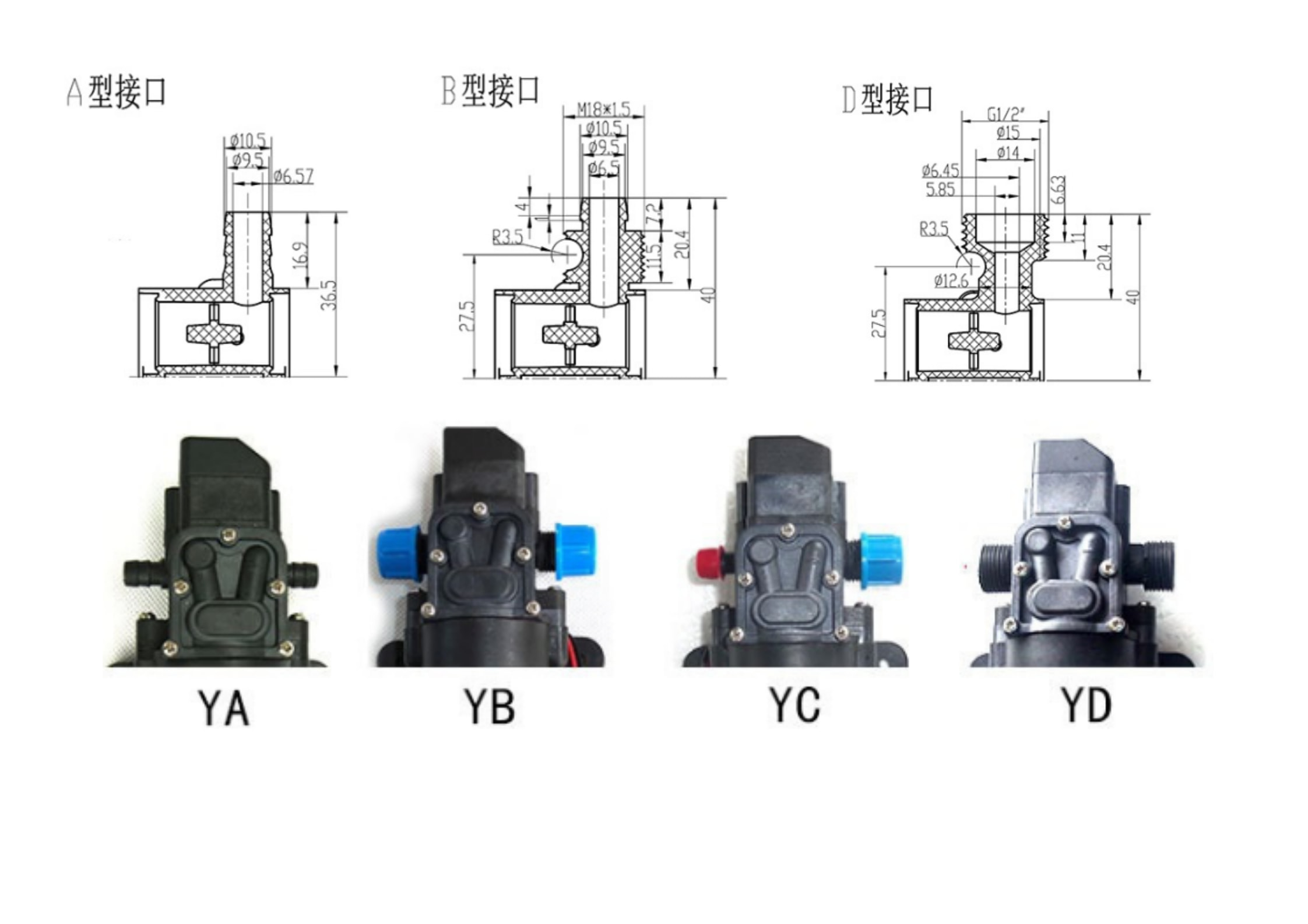Tamaño del accesorio de la bomba de diafragma Fitting size of diaphragm pump